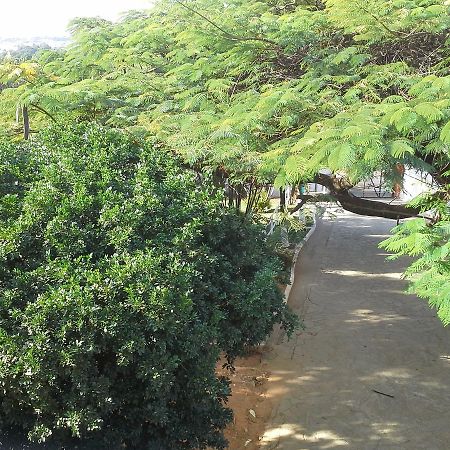 بيتيم Hotel Cristalia المظهر الخارجي الصورة